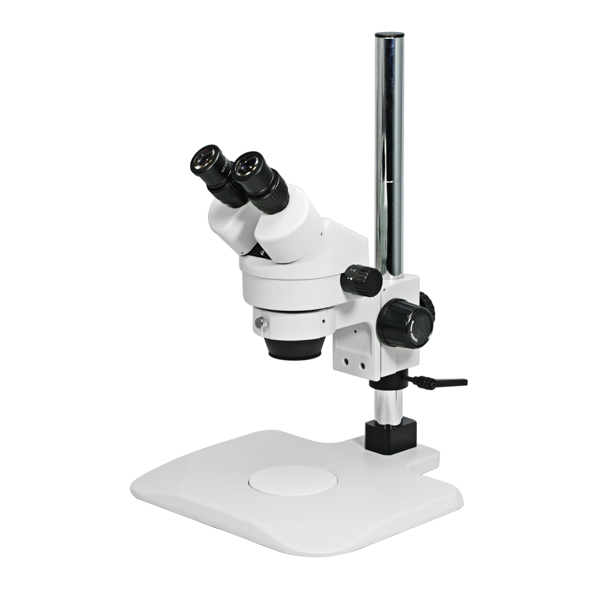 Stereo Microscope